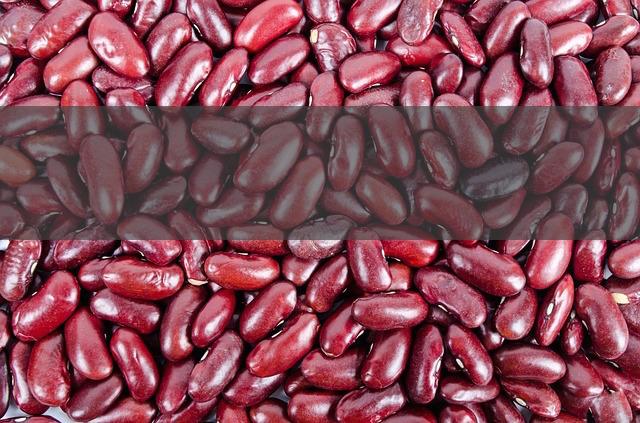 Nierenkoliken durch Steine – Wie vermeiden?